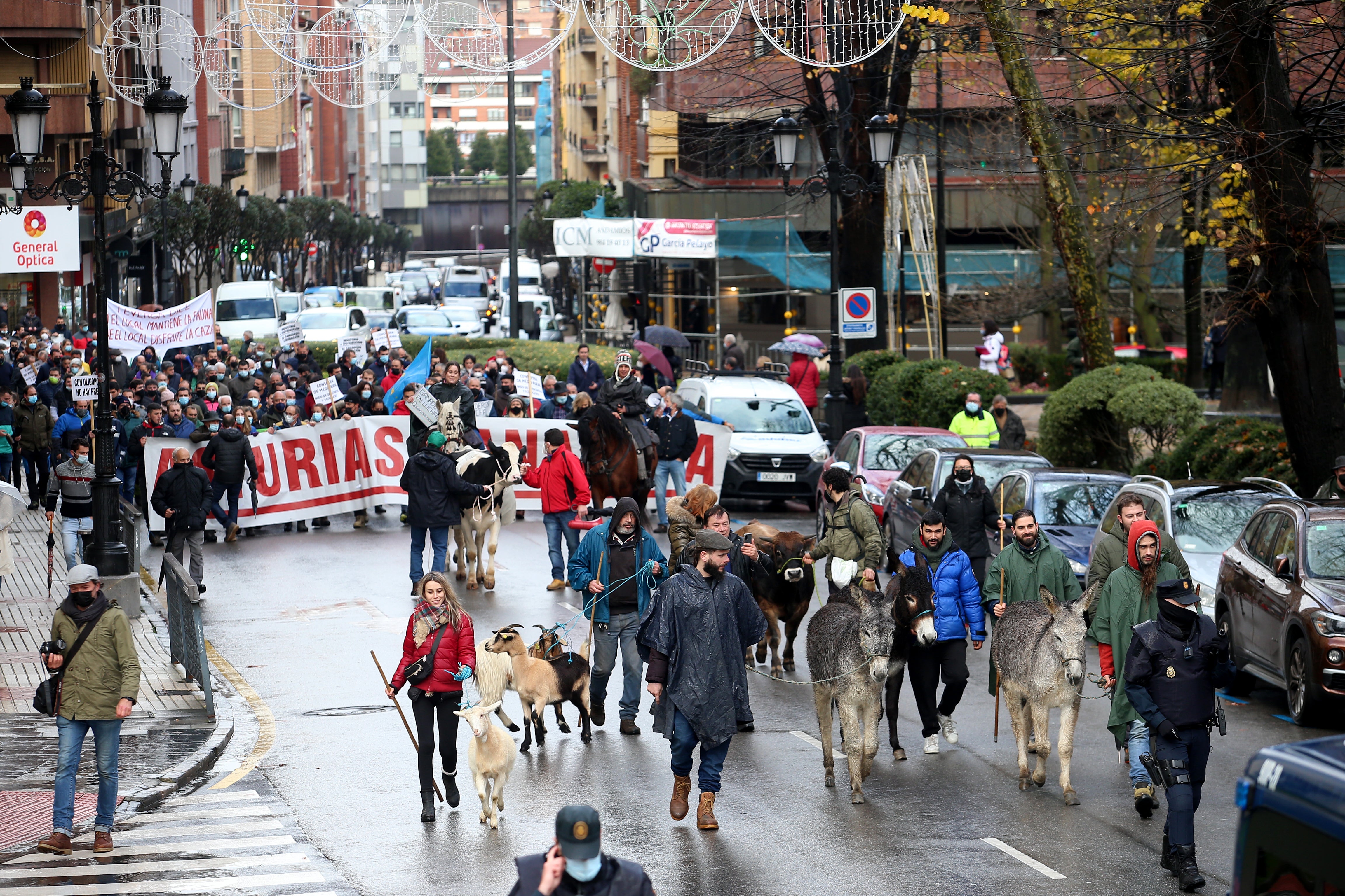 Fotos: El sector ganadero asturiano se manifiesta en Oviedo