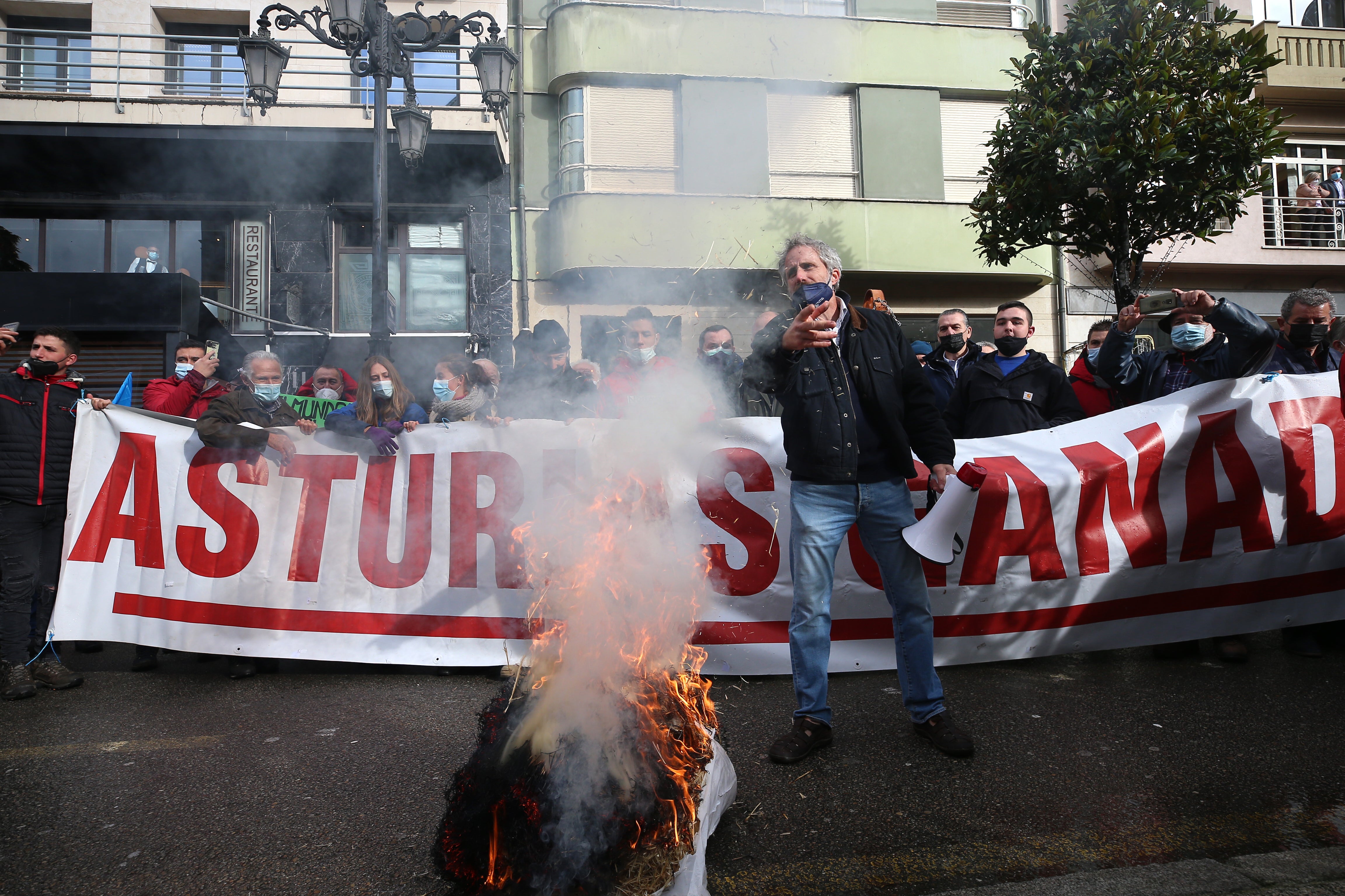 Fotos: El sector ganadero asturiano se manifiesta en Oviedo