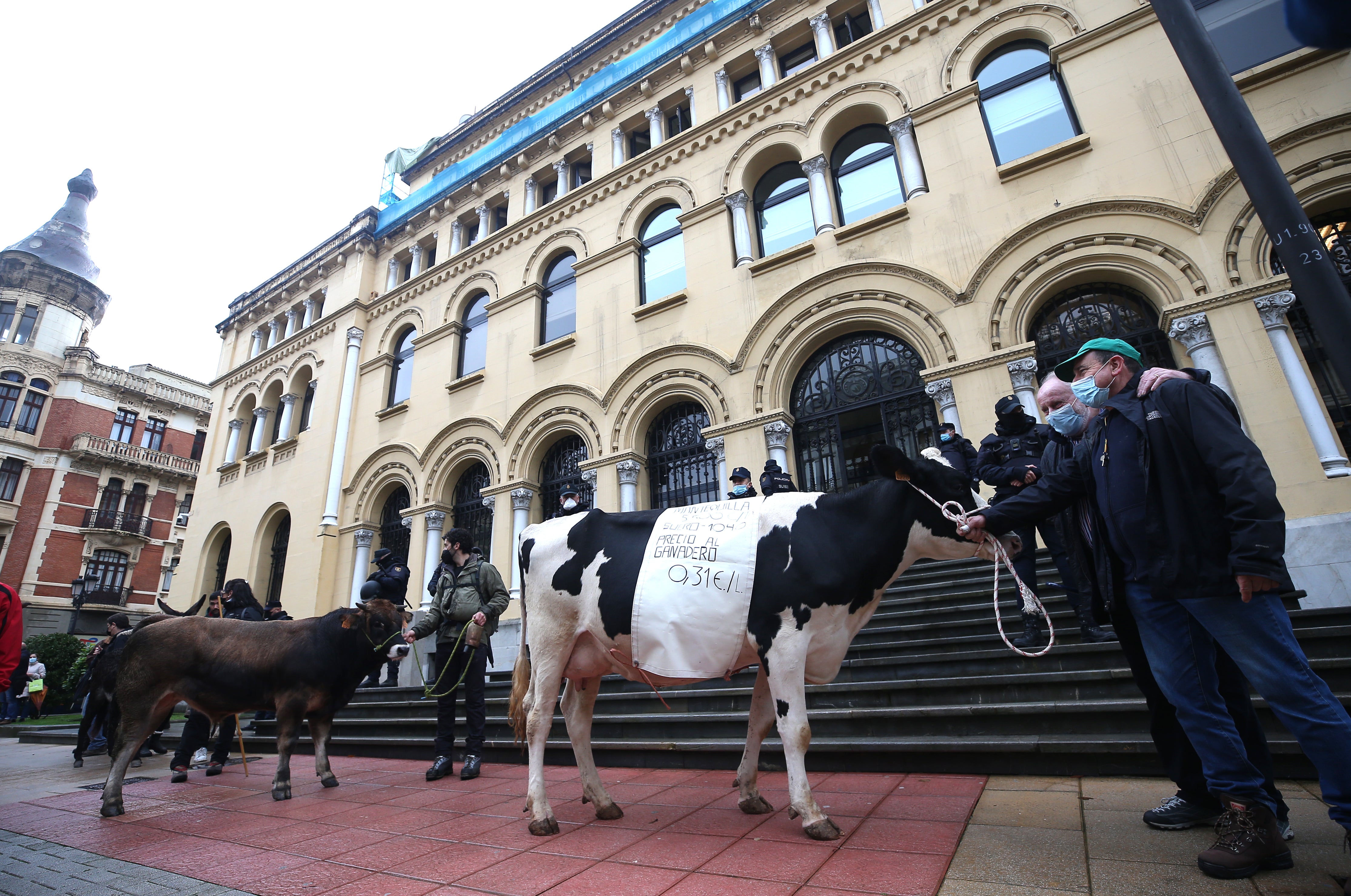 Fotos: El sector ganadero asturiano se manifiesta en Oviedo