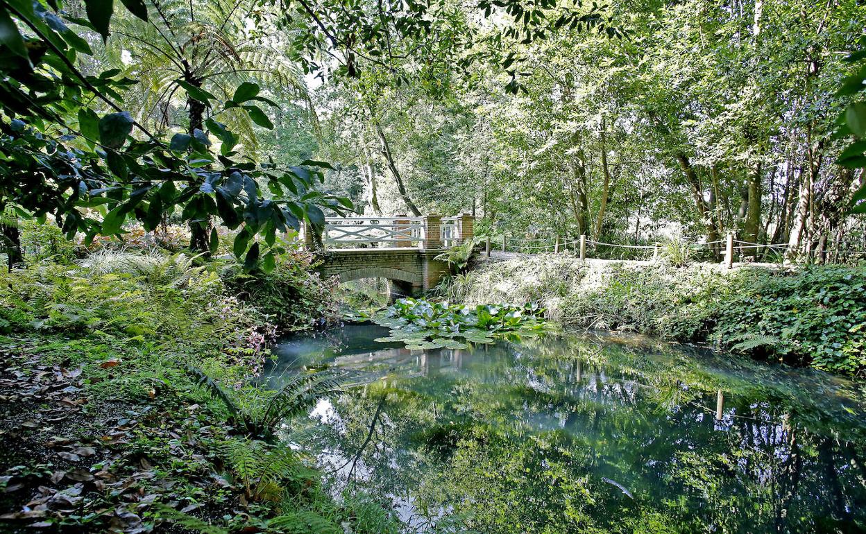 Jardín Botánico de Gijón.