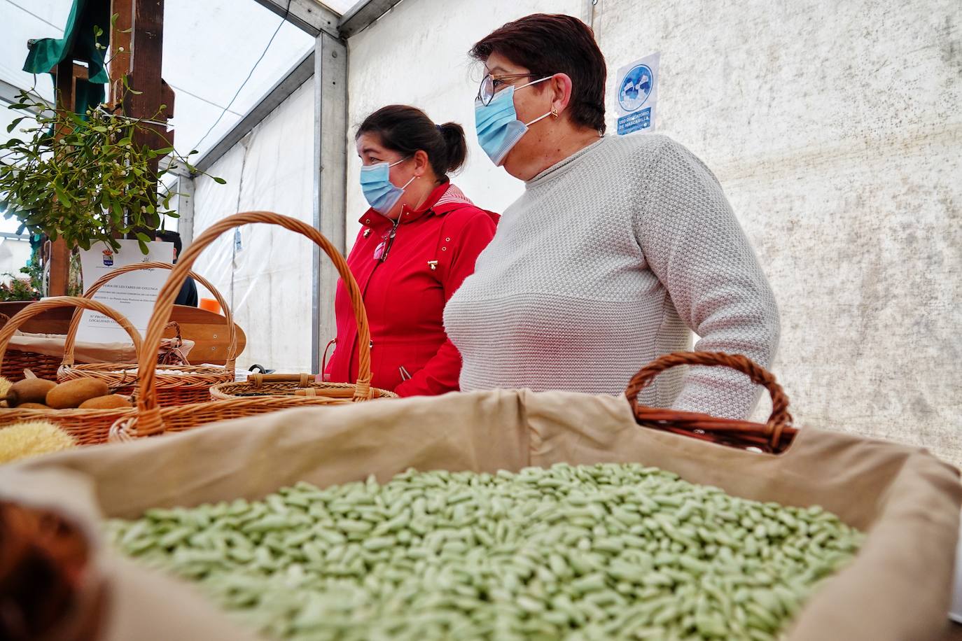 Fotos: Víctor Manuel anima la Feria de les Fabes de Colunga