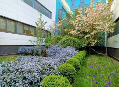 Imagen secundaria 1 - Arces japoneses rojos; jardín de primavera floreado; y jardín de verano con el sofá vegetal. 