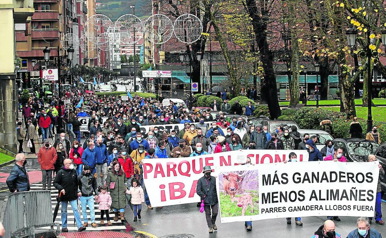 Manifestación contra la mayor protección del lobo y los bajos precios celebrada en Oviedo el jueves.