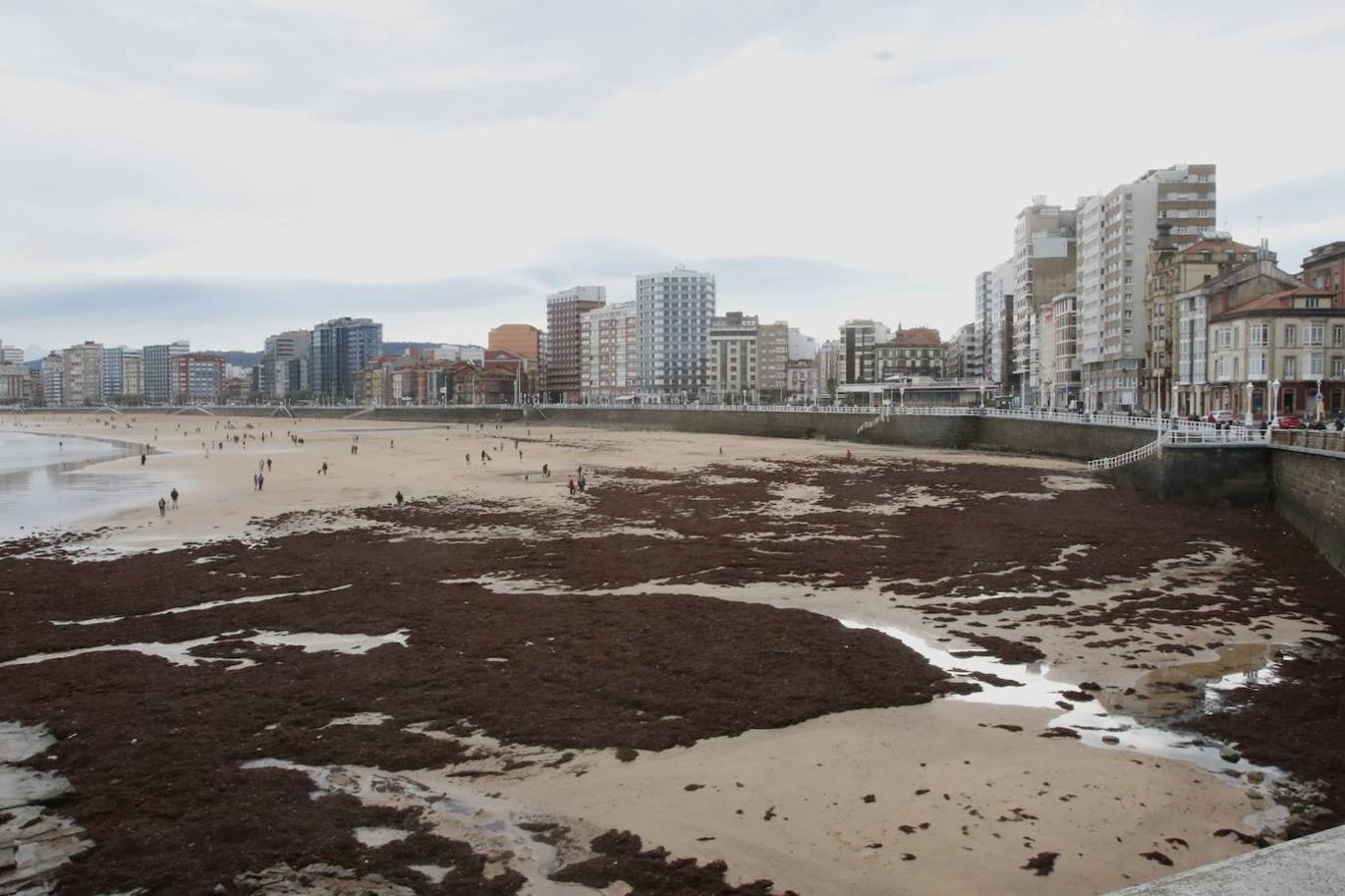 Fotos: El temporal no da tregua en Gijón con fuertes rachas de viento y olas