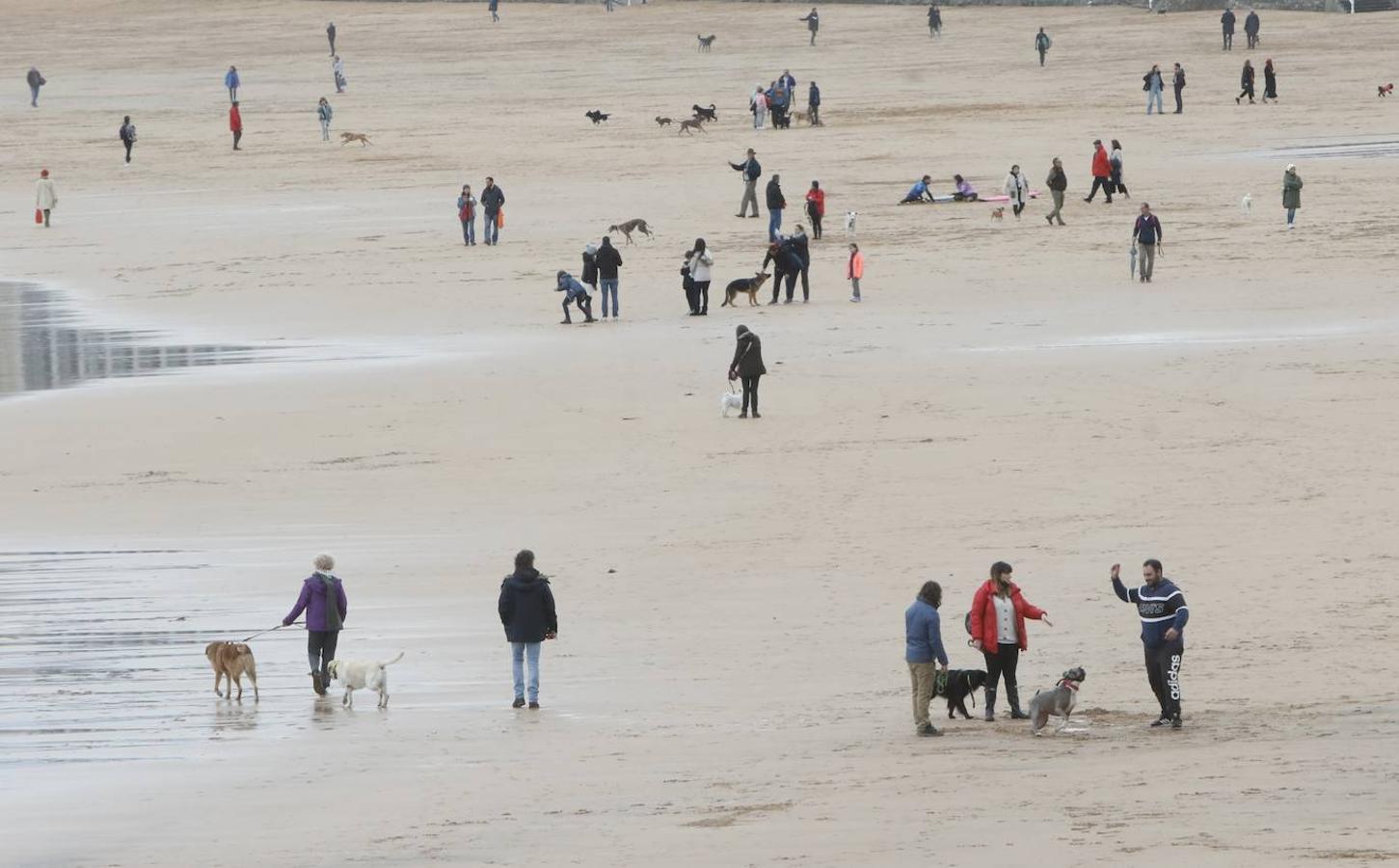 Fotos: El temporal no da tregua en Gijón con fuertes rachas de viento y olas