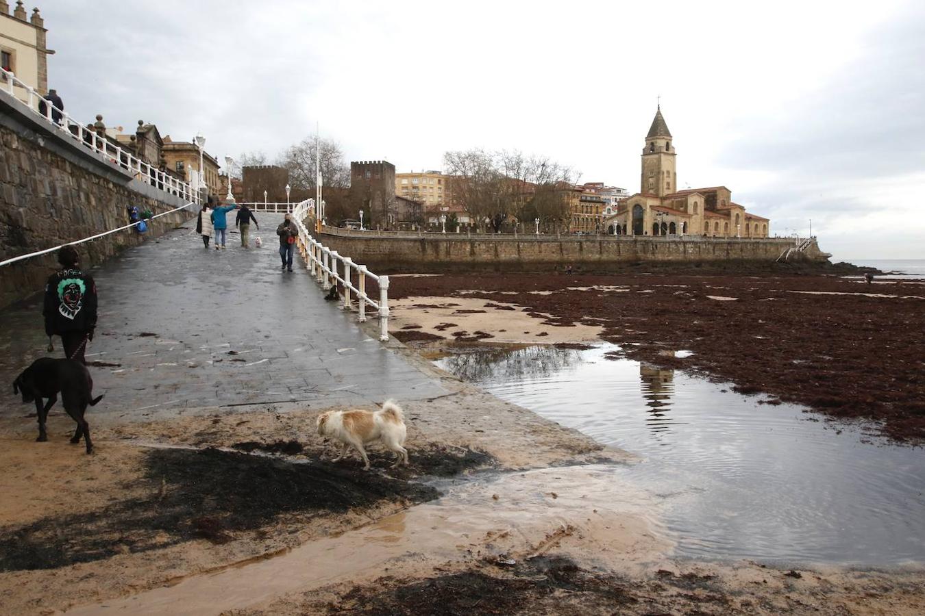 Fotos: El temporal no da tregua en Gijón con fuertes rachas de viento y olas