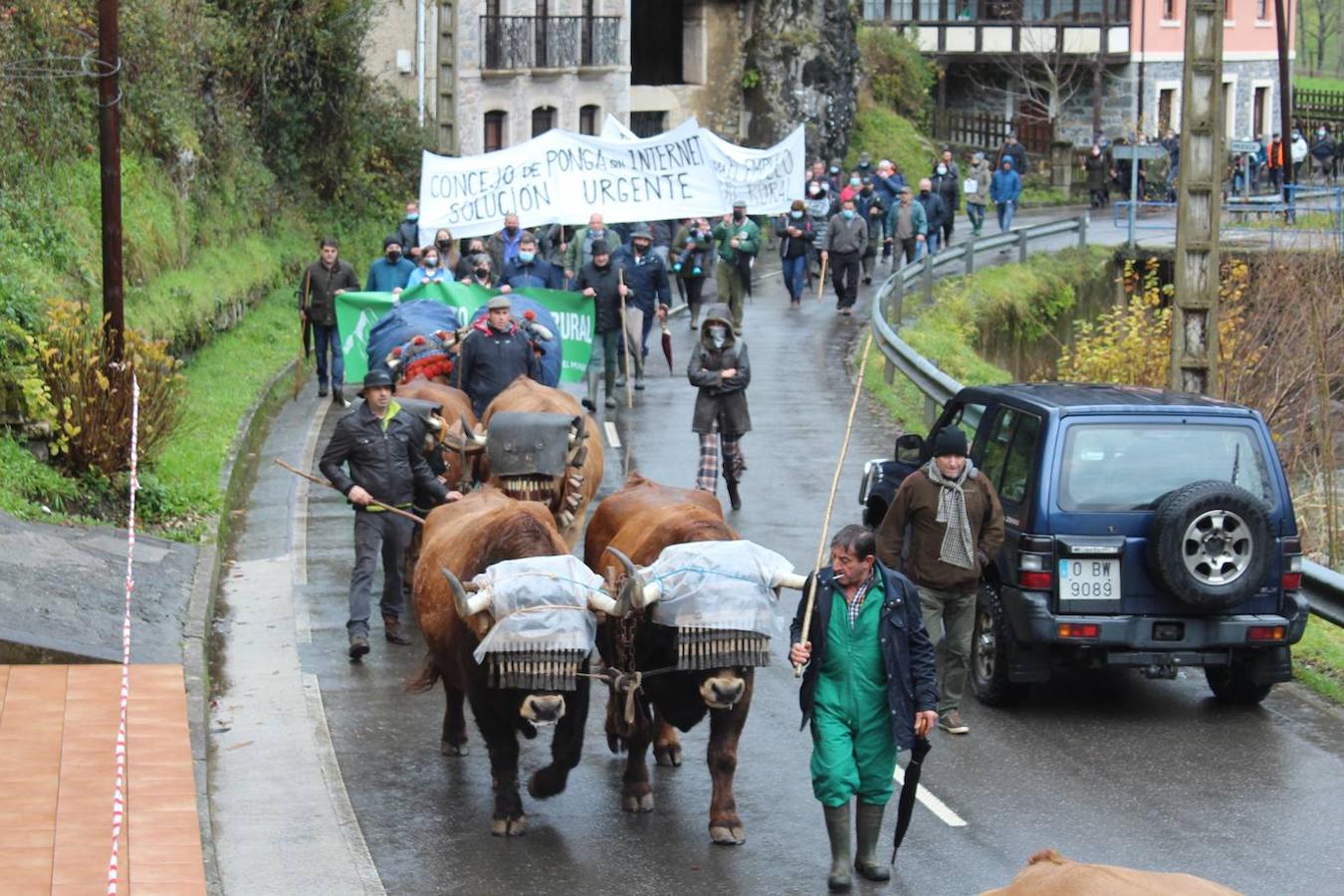 Fotos: Ganaderos y vecinos exigen en Ponga «respeto al medio rural»