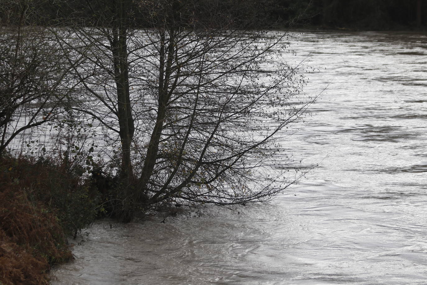 Fotos: Alto caudal en el Nalón, el Trubia y el Nora