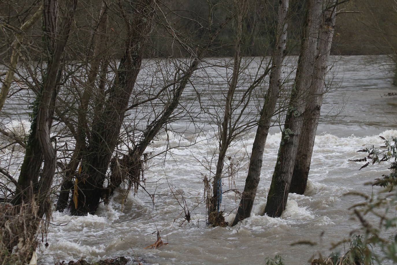Fotos: Alto caudal en el Nalón, el Trubia y el Nora