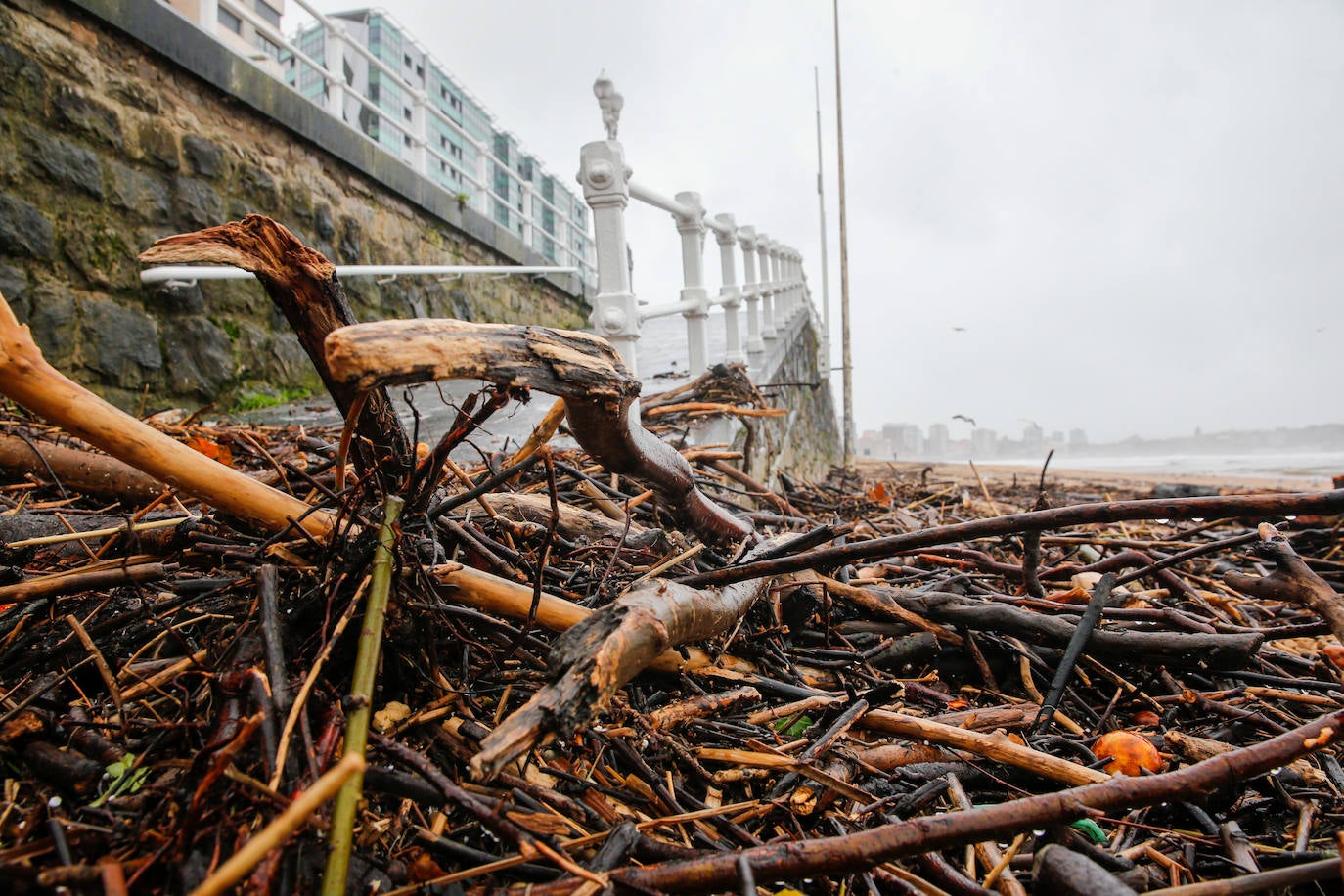 La marea ha llenado la playa gijonesa de San Lorenzo de palos 