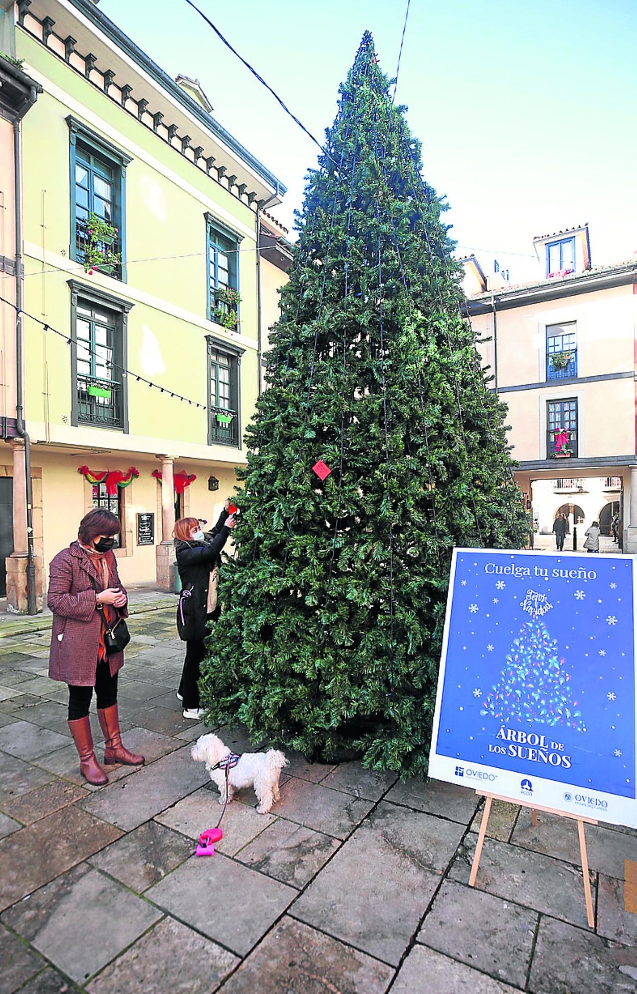 Beatriz Cid y Sandra Sutil cuelgan sus deseos en el árbol. 