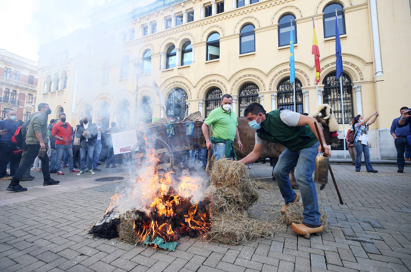 Una nueva tractorada volvió a paralizar el centro de la capital asturiana. Los ganaderos critican el «abandono» por parte de las administraciones públicas. Cientos de personas se concentraron ante la sede de Presidencia, donde se vivieron momentos de tensión. 