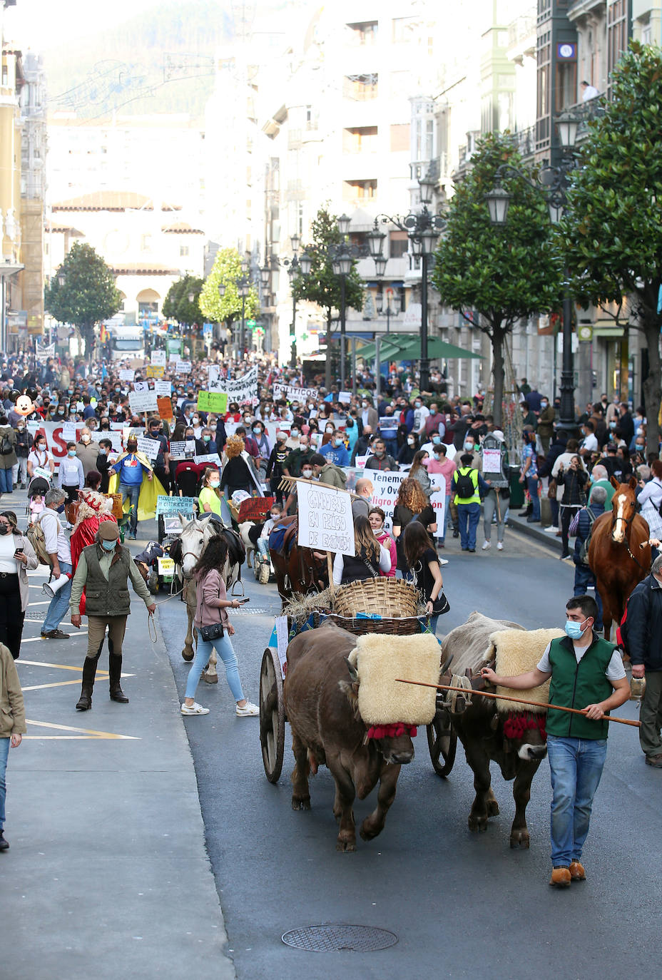 Una nueva tractorada volvió a paralizar el centro de la capital asturiana. Los ganaderos critican el «abandono» por parte de las administraciones públicas. Cientos de personas se concentraron ante la sede de Presidencia, donde se vivieron momentos de tensión. 