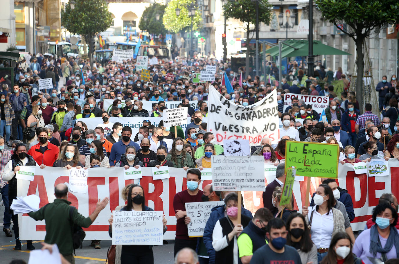 Una nueva tractorada volvió a paralizar el centro de la capital asturiana. Los ganaderos critican el «abandono» por parte de las administraciones públicas. Cientos de personas se concentraron ante la sede de Presidencia, donde se vivieron momentos de tensión. 