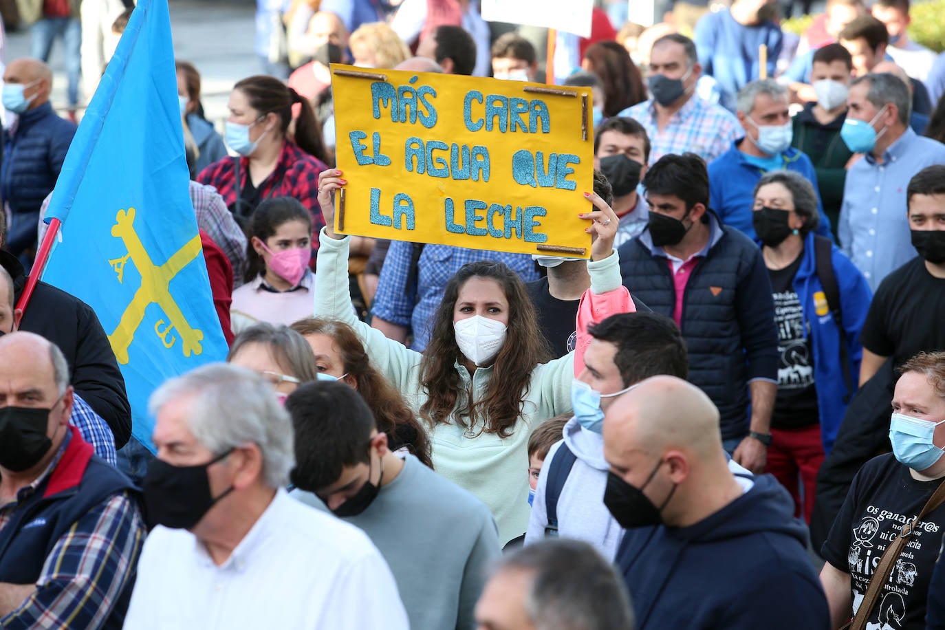 Una nueva tractorada volvió a paralizar el centro de la capital asturiana. Los ganaderos critican el «abandono» por parte de las administraciones públicas. Cientos de personas se concentraron ante la sede de Presidencia, donde se vivieron momentos de tensión. 