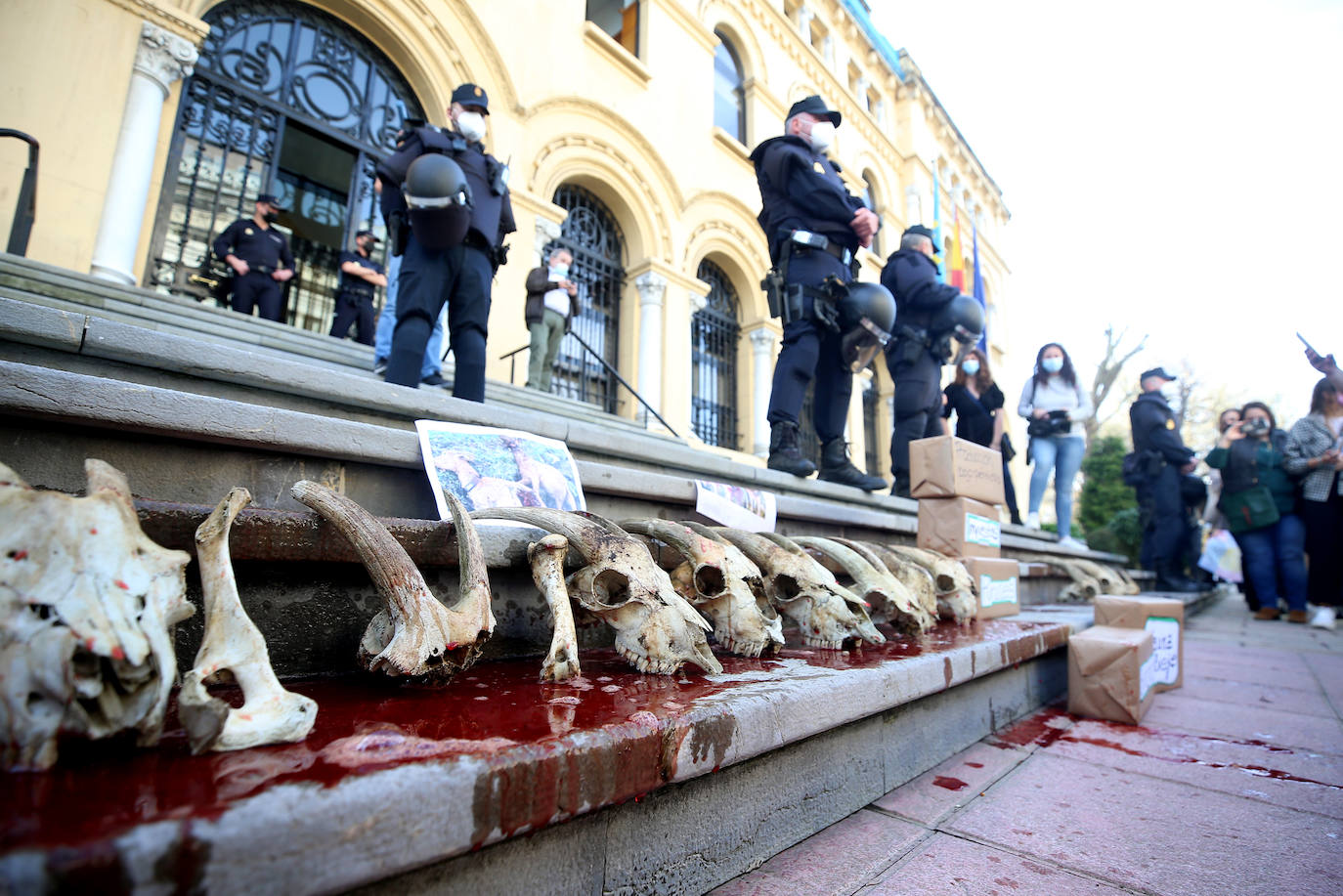 Una nueva tractorada volvió a paralizar el centro de la capital asturiana. Los ganaderos critican el «abandono» por parte de las administraciones públicas. Cientos de personas se concentraron ante la sede de Presidencia, donde se vivieron momentos de tensión. 