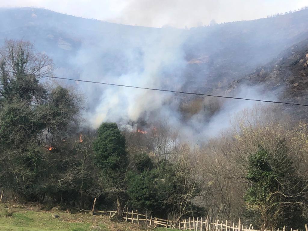 La región ha llegado a sumar un centenar de incendios forestales activos durante el fin de semana. Este lunes los bomberos continuan luchando contra más de cuarenta fuegos 