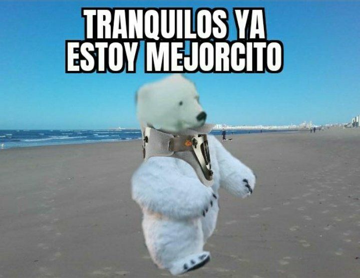 La cabalgata de Reyes Magos de Cádiz ha dado mucho que hablar por culpa de un inesperado protagonista: un oso polar que resultó 'accidentado'. El disfraz tenía la cabeza girada durante el desfile, lo que ha provocado numerosos comentarios y memes. 