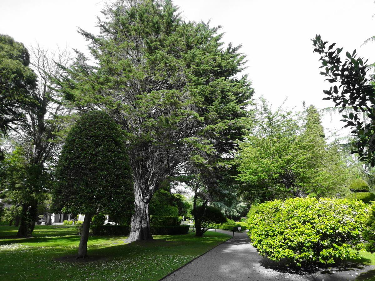 El jardín de la finca La Redonda se trata del principal jardín escultórico de Asturias lo que le imprime también ese salto cualitativo, con destacables obras de artistas como Maojo o Camín, el cual ya ha sido varias veces calificado por autoridades en la materia, como los geógrafos Ramón Alvargonzález y Rodrigo Álvarez Brecht, como el más rico y espectacular de la parroquia de Somió (Gijón), tanto por su dilatada historia, como por su diseño y su variedad botánica; a lo que hay que añadir la antigüedad de un centenar de ejemplares que superan o se aproximan al siglo de vida.