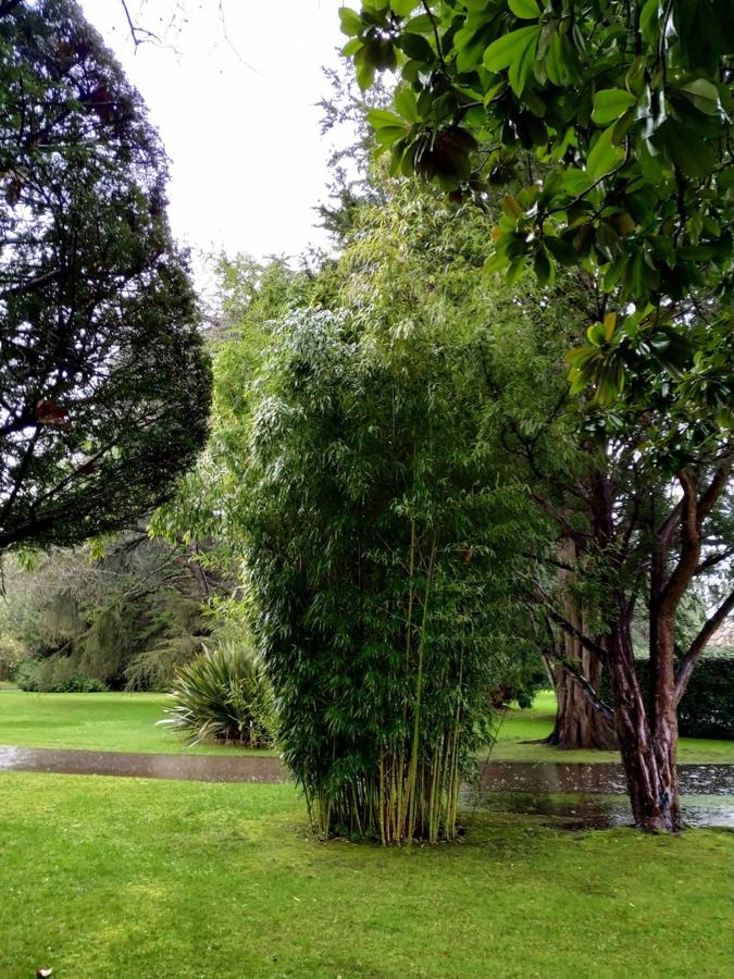 El jardín de la finca La Redonda se trata del principal jardín escultórico de Asturias lo que le imprime también ese salto cualitativo, con destacables obras de artistas como Maojo o Camín, el cual ya ha sido varias veces calificado por autoridades en la materia, como los geógrafos Ramón Alvargonzález y Rodrigo Álvarez Brecht, como el más rico y espectacular de la parroquia de Somió (Gijón), tanto por su dilatada historia, como por su diseño y su variedad botánica; a lo que hay que añadir la antigüedad de un centenar de ejemplares que superan o se aproximan al siglo de vida.