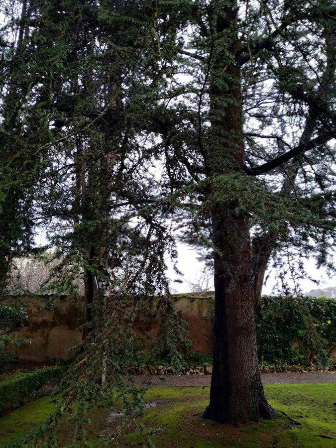 El jardín de la finca La Redonda se trata del principal jardín escultórico de Asturias lo que le imprime también ese salto cualitativo, con destacables obras de artistas como Maojo o Camín, el cual ya ha sido varias veces calificado por autoridades en la materia, como los geógrafos Ramón Alvargonzález y Rodrigo Álvarez Brecht, como el más rico y espectacular de la parroquia de Somió (Gijón), tanto por su dilatada historia, como por su diseño y su variedad botánica; a lo que hay que añadir la antigüedad de un centenar de ejemplares que superan o se aproximan al siglo de vida.