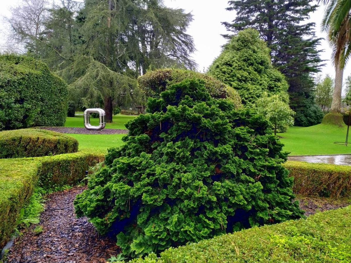 El jardín de la finca La Redonda se trata del principal jardín escultórico de Asturias lo que le imprime también ese salto cualitativo, con destacables obras de artistas como Maojo o Camín, el cual ya ha sido varias veces calificado por autoridades en la materia, como los geógrafos Ramón Alvargonzález y Rodrigo Álvarez Brecht, como el más rico y espectacular de la parroquia de Somió (Gijón), tanto por su dilatada historia, como por su diseño y su variedad botánica; a lo que hay que añadir la antigüedad de un centenar de ejemplares que superan o se aproximan al siglo de vida.