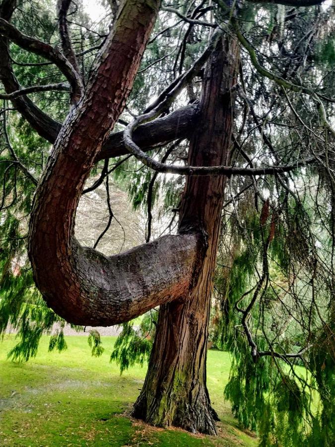 El jardín de la finca La Redonda se trata del principal jardín escultórico de Asturias lo que le imprime también ese salto cualitativo, con destacables obras de artistas como Maojo o Camín, el cual ya ha sido varias veces calificado por autoridades en la materia, como los geógrafos Ramón Alvargonzález y Rodrigo Álvarez Brecht, como el más rico y espectacular de la parroquia de Somió (Gijón), tanto por su dilatada historia, como por su diseño y su variedad botánica; a lo que hay que añadir la antigüedad de un centenar de ejemplares que superan o se aproximan al siglo de vida.