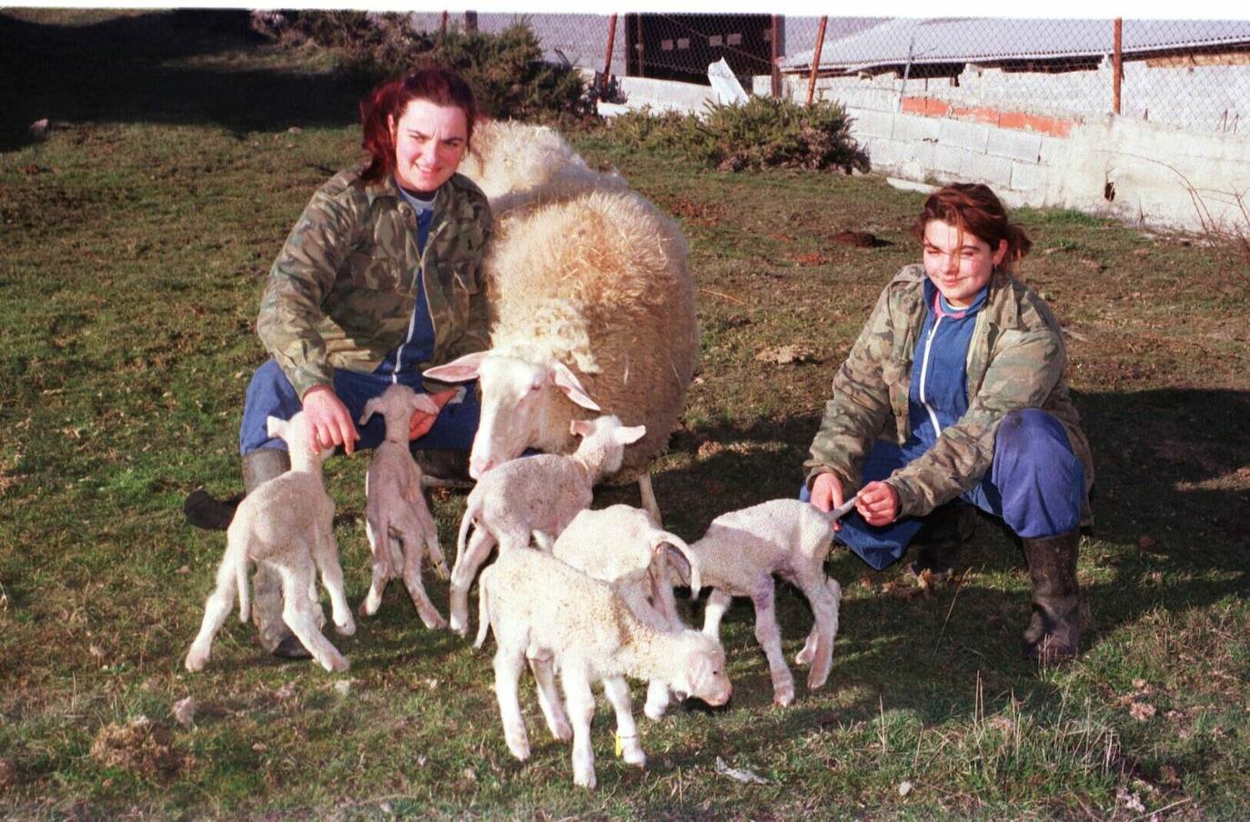 Mujeres con ovejas en una granja de Camtabria 