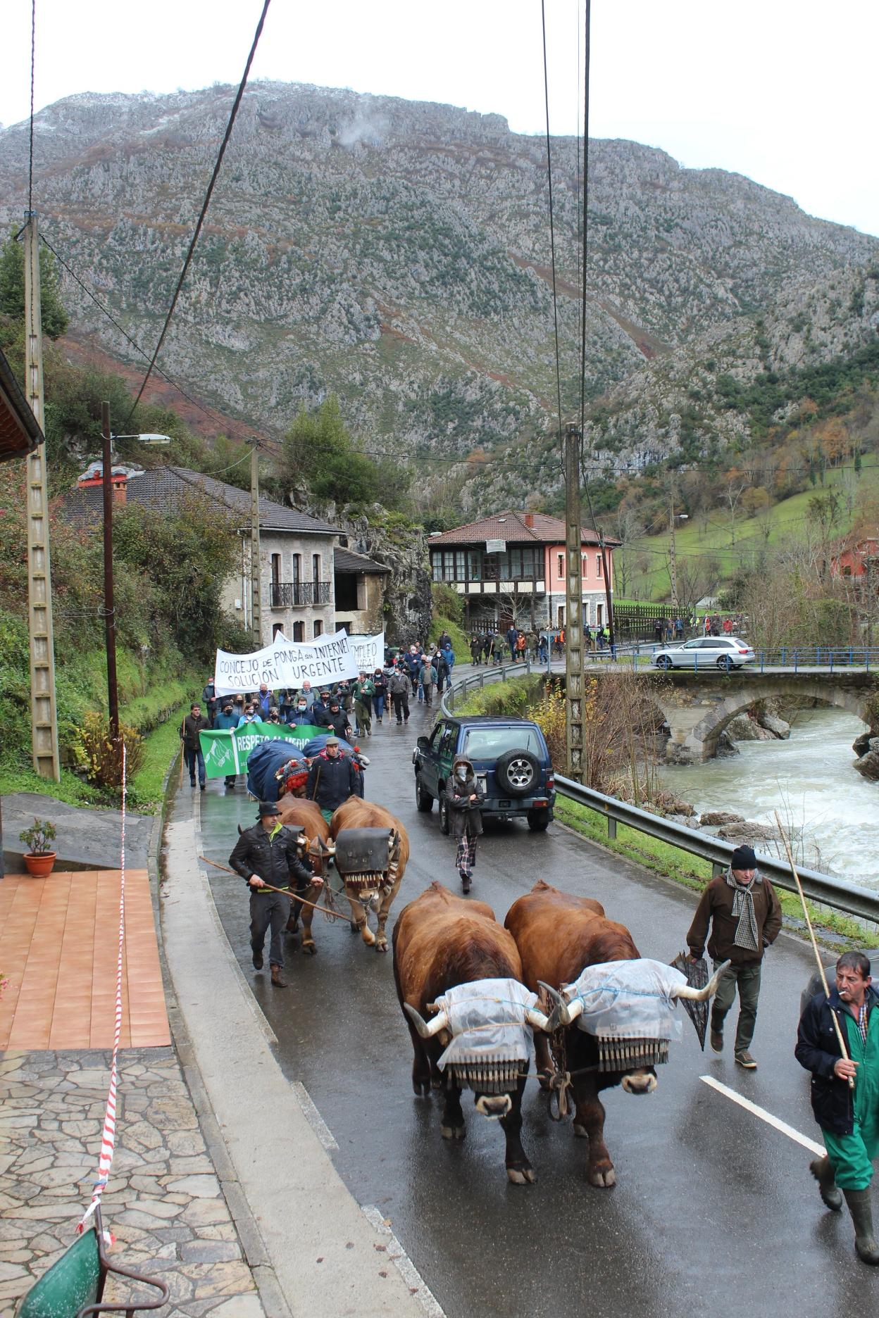 Manifestación en defensa del medio rural celebrada el 8 de diciembre en Ponga, coincidiendo con la feria ganadera de Sellañu. 