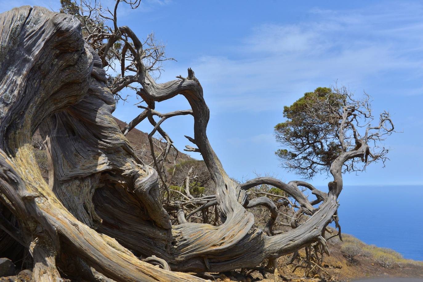 El diario estadounidense 'The New York Times' ofrece un listado de 52 lugares que recomienda visitar en 2022. Estas son algunas propuestas. En la imagen El Hierro