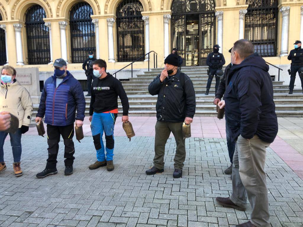 Representantes del colectivo 'Asturias Ganadera' se han manifestado este viernes ante las sedes de Presidencia del Principado y Delegación del Gobierno en Asturias para pedir «diálogo» al Ejecutivo del socialista Adrián Barbón y exigir el «cese» de la delegada del Gobierno, Delia Losa, a la que acusan de «represora»