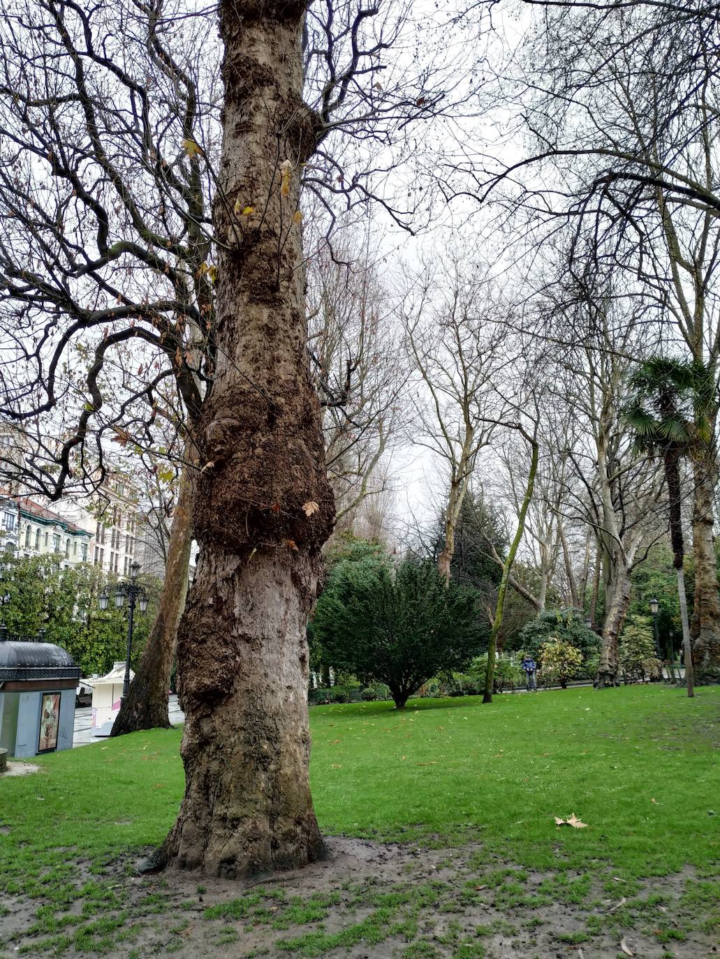 La huerta y el jardín botánico del Monasterio de San Francisco fueron el germen del parque público del que hoy presume la ciudad. 