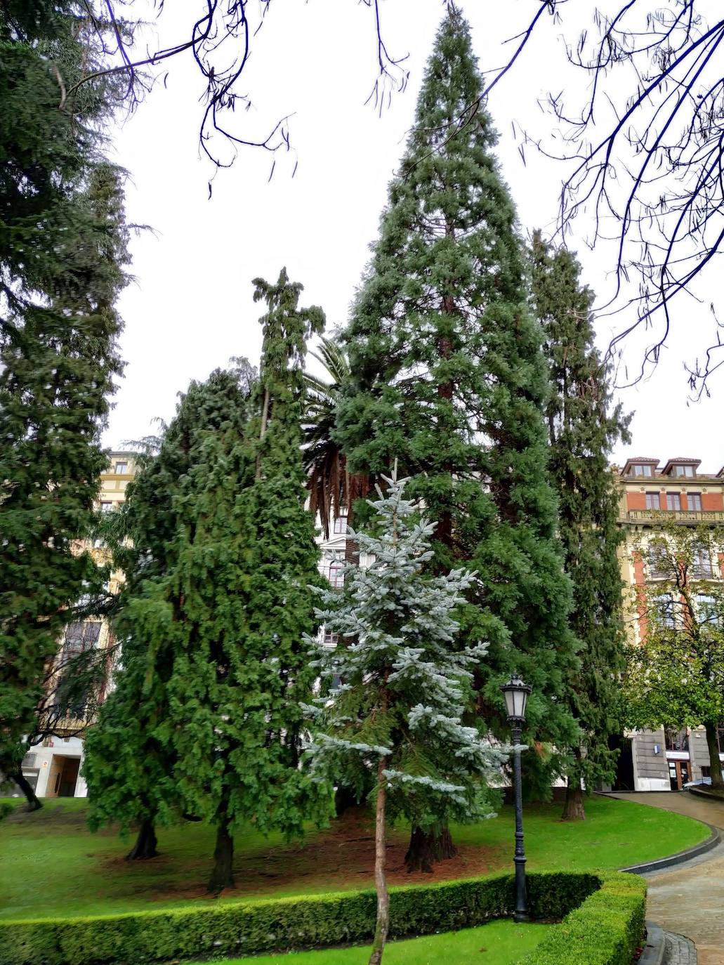 La huerta y el jardín botánico del Monasterio de San Francisco fueron el germen del parque público del que hoy presume la ciudad. 