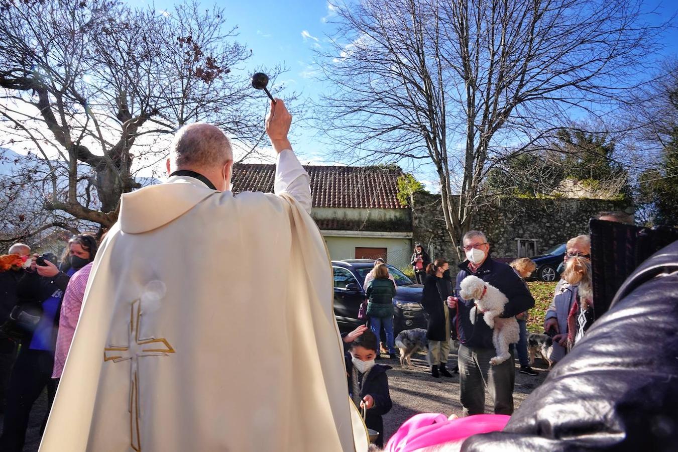 La parroquia de Parres acogió este lunes a sus mascotas para bendecirles con salud y suerte. Se llegaron a ver hasta gallinas y ovejas, entre multitud de perros, en su mayoría, y gatos.