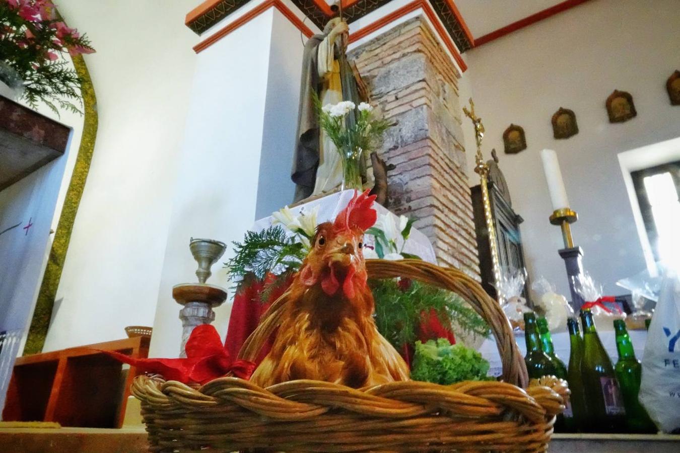 La parroquia de Parres acogió este lunes a sus mascotas para bendecirles con salud y suerte. Se llegaron a ver hasta gallinas y ovejas, entre multitud de perros, en su mayoría, y gatos.