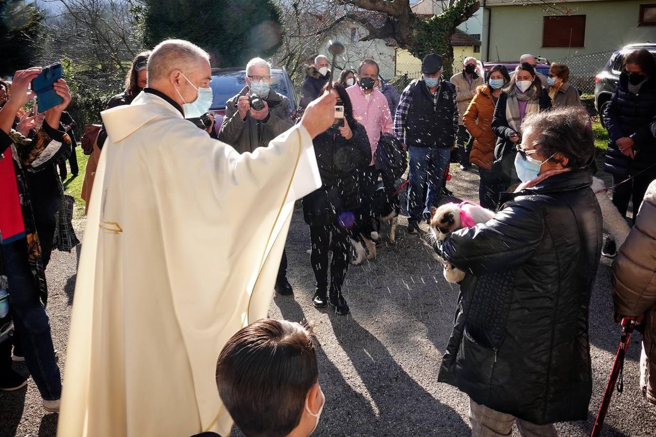 La parroquia de Parres acogió este lunes a sus mascotas para bendecirles con salud y suerte. Se llegaron a ver hasta gallinas y ovejas, entre multitud de perros, en su mayoría, y gatos.