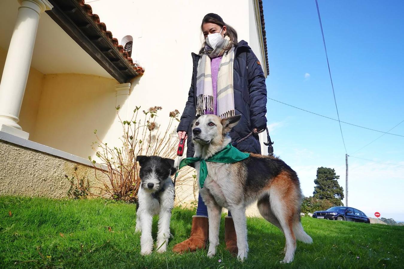 La parroquia de Parres acogió este lunes a sus mascotas para bendecirles con salud y suerte. Se llegaron a ver hasta gallinas y ovejas, entre multitud de perros, en su mayoría, y gatos.