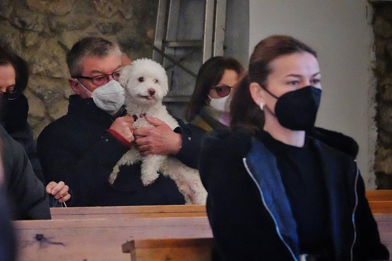 La parroquia de Parres acogió este lunes a sus mascotas para bendecirles con salud y suerte. Se llegaron a ver hasta gallinas y ovejas, entre multitud de perros, en su mayoría, y gatos.