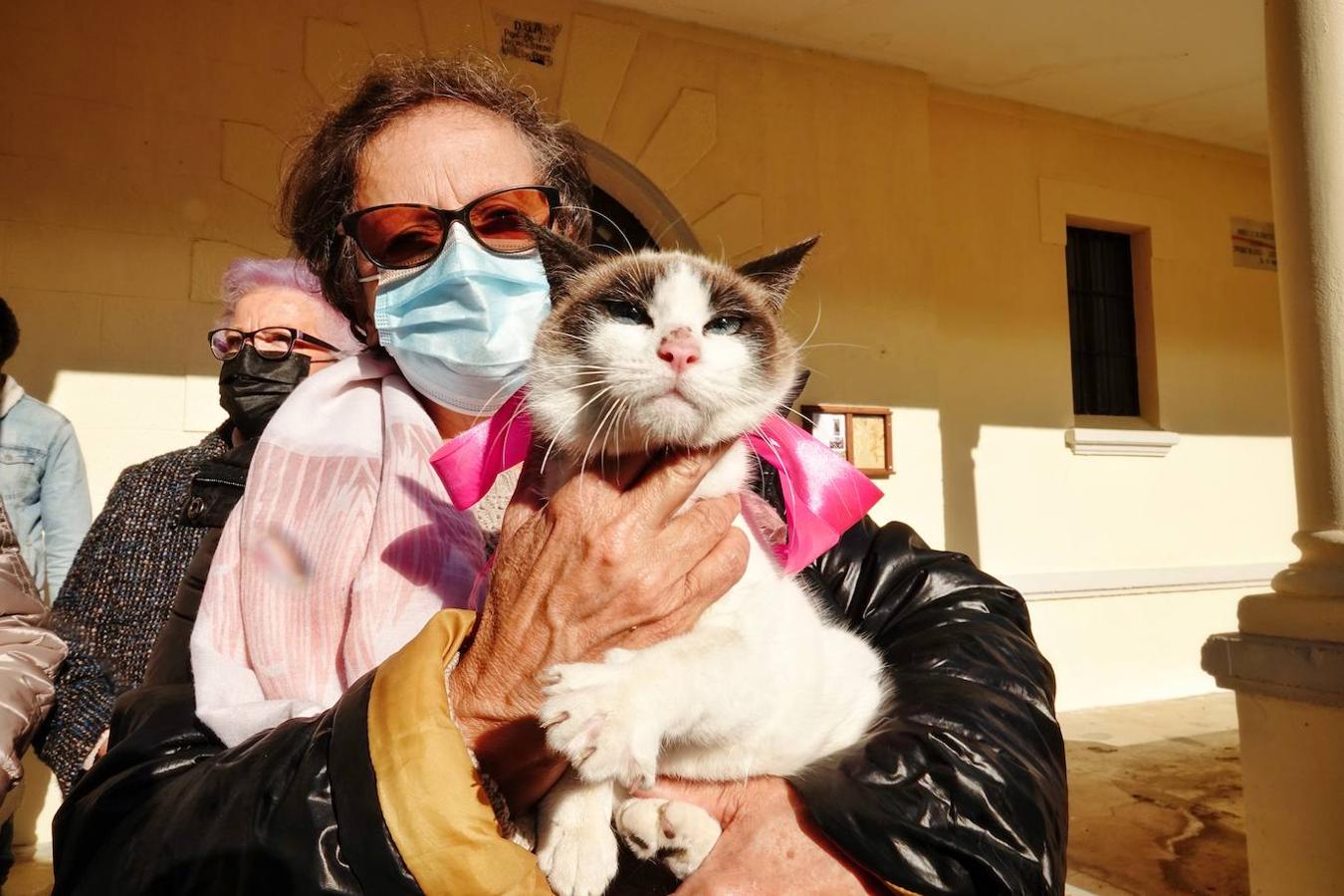 La parroquia de Parres acogió este lunes a sus mascotas para bendecirles con salud y suerte. Se llegaron a ver hasta gallinas y ovejas, entre multitud de perros, en su mayoría, y gatos.