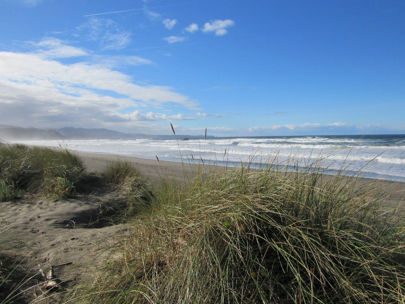 EL playón de Bayas.