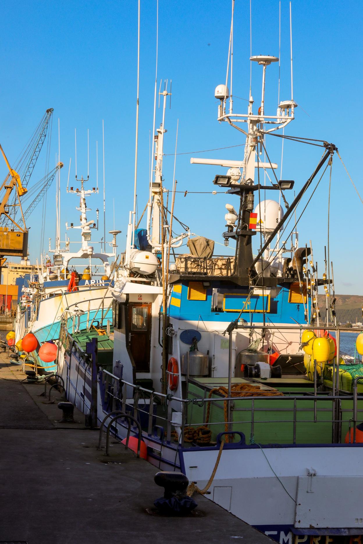 Barcos en el muelle pesquero. 