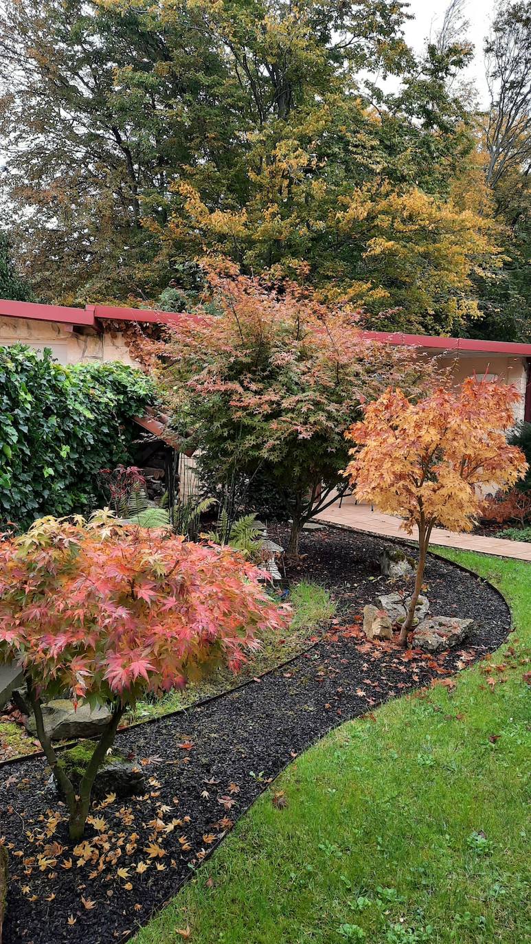 El jardín escultórico japonés de Mario Argüelles se encuentra situado en la histórica finca de los marqueses de Pidal (Somió), convertida ahora en su mayor parte en la urbanización El Pisón.