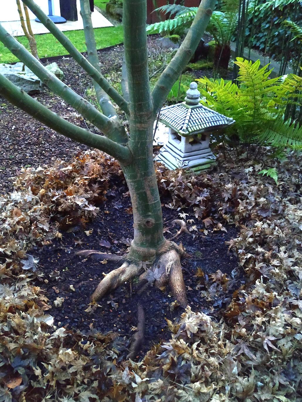 El jardín escultórico japonés de Mario Argüelles se encuentra situado en la histórica finca de los marqueses de Pidal (Somió), convertida ahora en su mayor parte en la urbanización El Pisón.