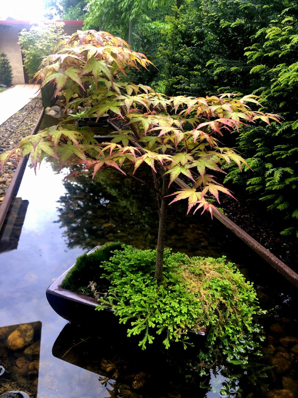 El jardín escultórico japonés de Mario Argüelles se encuentra situado en la histórica finca de los marqueses de Pidal (Somió), convertida ahora en su mayor parte en la urbanización El Pisón.