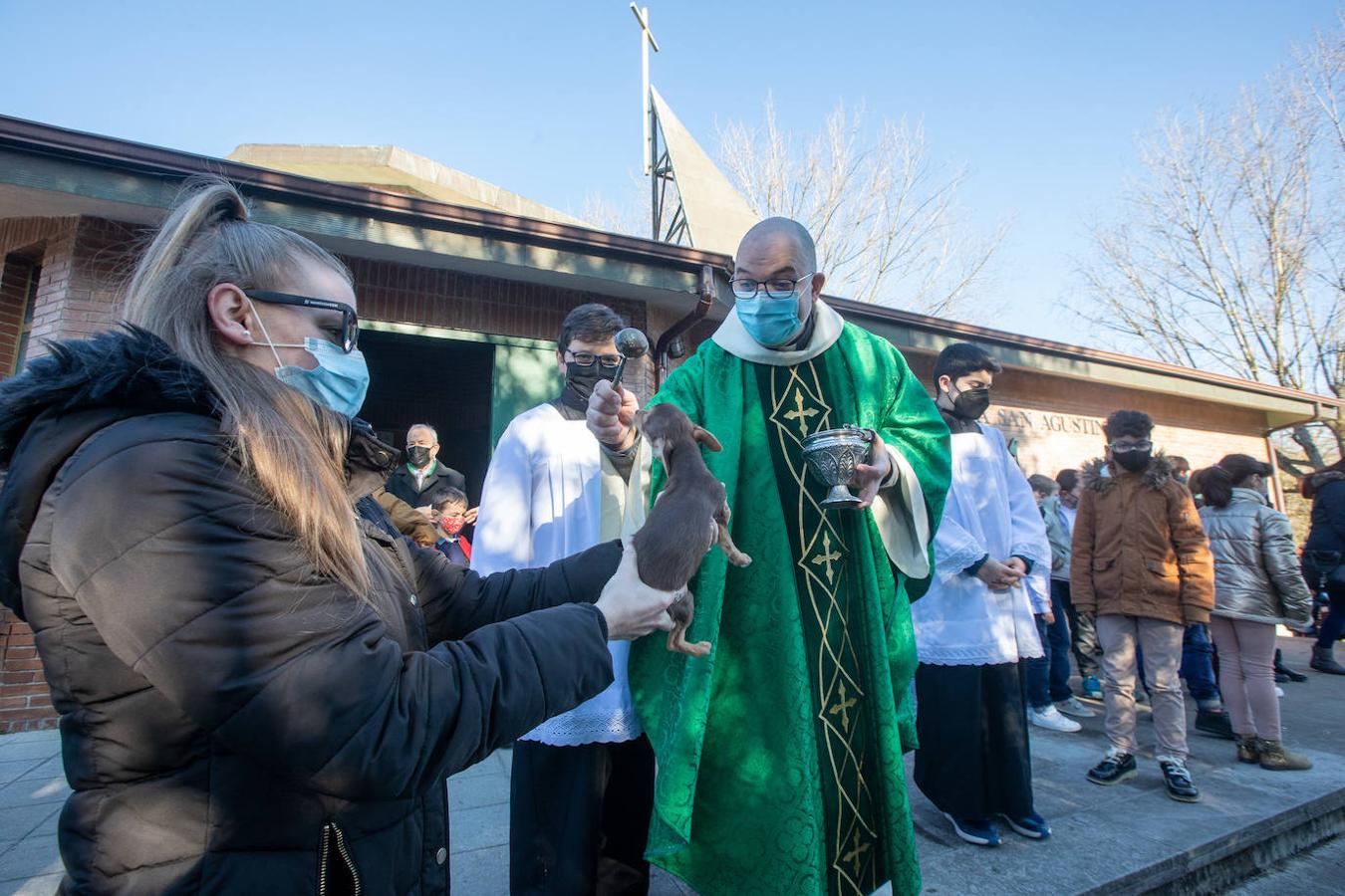 Fotos: Bendición de mascotas en Avilés