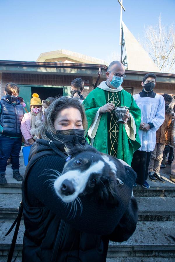 Fotos: Bendición de mascotas en Avilés