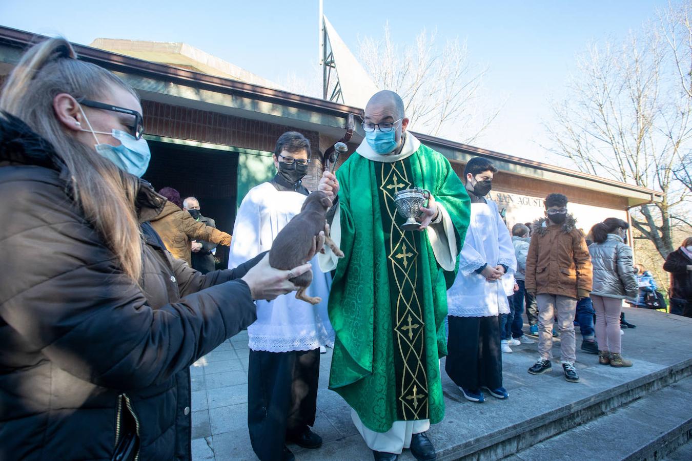 Fotos: Bendición de mascotas en Avilés