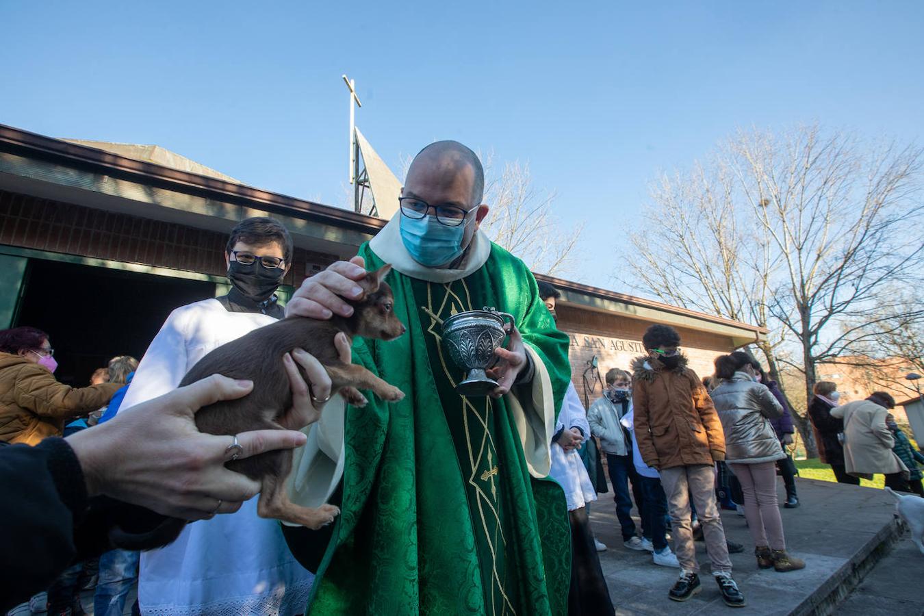 Fotos: Bendición de mascotas en Avilés