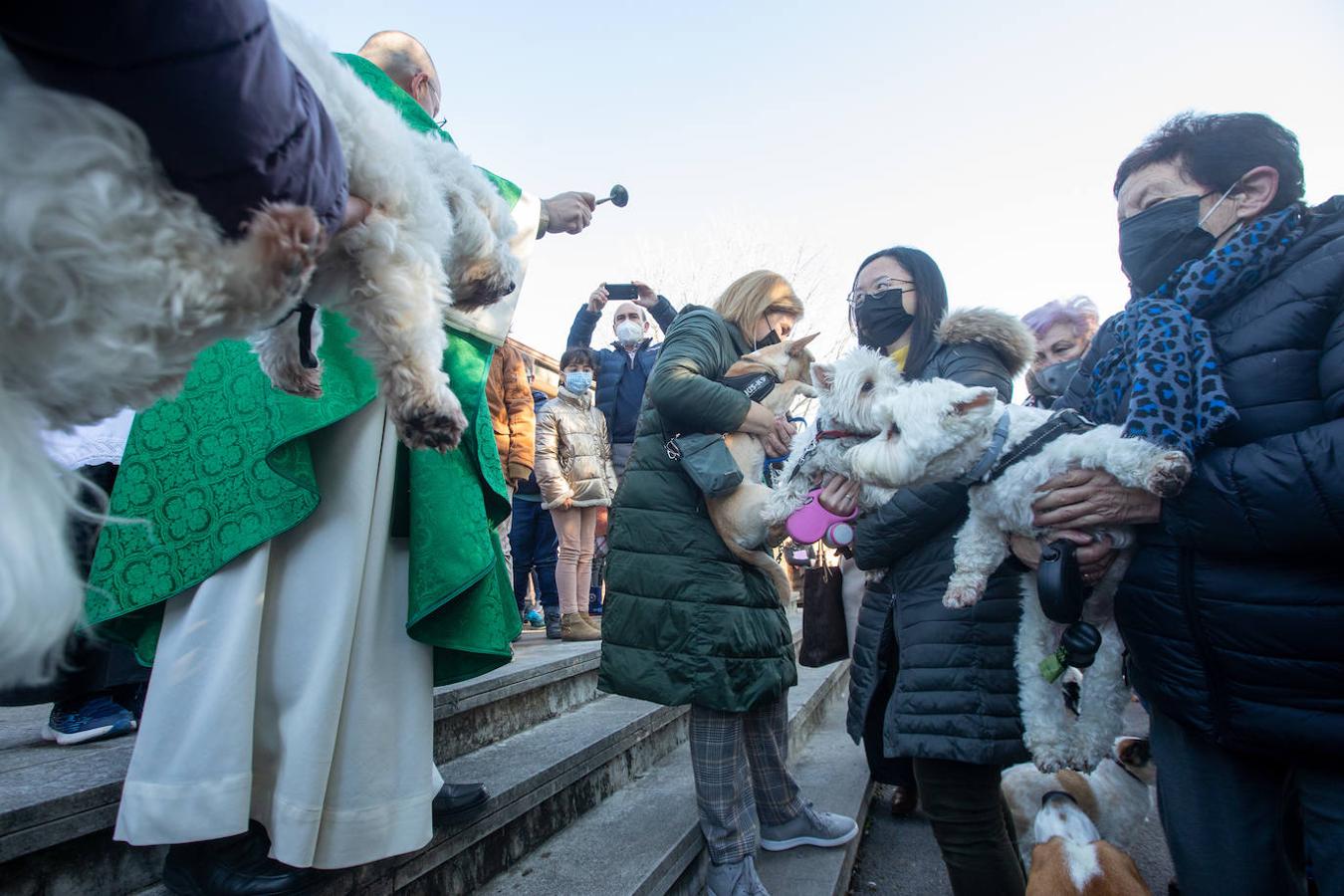 Fotos: Bendición de mascotas en Avilés