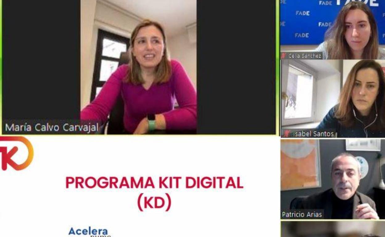 María Calvo, presidenta de Fade, esta mañana, durante su intervención en la presentación telemática del programa Kit Digital